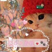 ヒメ日記 2025/12/24 19:13 投稿 えま ニューグランド