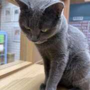 えま 検診行ってきました🏥 ニューグランド