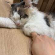 ヒメ日記 2026/06/01 22:23 投稿 えま ニューグランド