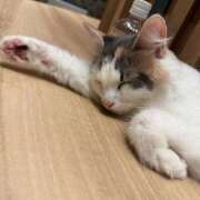 ヒメ日記 2026/06/10 17:43 投稿 えま ニューグランド