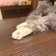 ヒメ日記 2026/09/16 16:13 投稿 えま ニューグランド