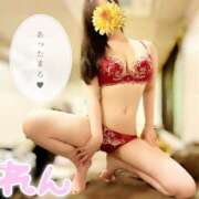 ヒメ日記 2025/02/18 14:00 投稿 レン OLの品格 クラブアッシュ