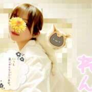 ヒメ日記 2025/04/25 13:01 投稿 レン OLの品格 クラブアッシュ