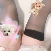 ヒメ日記 2025/09/27 23:32 投稿 真中みく ウルトラロイヤル