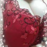 ヒメ日記 2025/01/21 19:25 投稿 ゆき 栃木宇都宮ちゃんこ