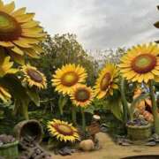 ヒメ日記 2025/12/28 19:04 投稿 ひつじ マリン宮殿水戸店