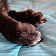 ヒメ日記 2025/08/22 22:28 投稿 さえ☆恥ずかしくて照れ笑い♪ 妹系イメージSOAP萌えフードル学園 大宮本校