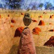 ヒメ日記 2025/08/23 08:32 投稿 さえ☆恥ずかしくて照れ笑い♪ 妹系イメージSOAP萌えフードル学園 大宮本校