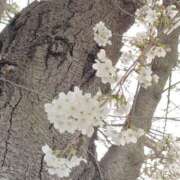 ヒメ日記 2025/03/29 22:48 投稿 めぐみ マツタケヒロシ