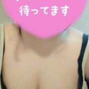 ヒメ日記 2025/04/27 12:08 投稿 めぐみ マツタケヒロシ