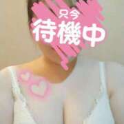 ヒメ日記 2025/06/12 20:23 投稿 めぐみ マツタケヒロシ