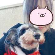 ヒメ日記 2025/03/25 06:21 投稿 わかな 熟女の風俗最終章 宇都宮店