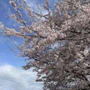 ヒメ日記 2025/04/16 14:21 投稿 わかな 熟女の風俗最終章 宇都宮店