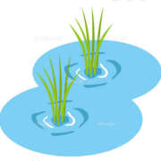 ヒメ日記 2025/04/29 08:11 投稿 わかな 熟女の風俗最終章 宇都宮店