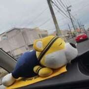 ヒメ日記 2025/05/12 03:31 投稿 わかな 熟女の風俗最終章 宇都宮店