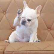 ヒメ日記 2025/08/07 12:02 投稿 わかな 熟女の風俗最終章 宇都宮店