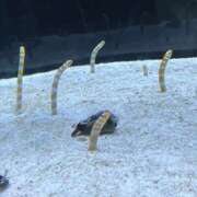 わかな 🌺出勤予定🌺 熟女の風俗最終章 宇都宮店