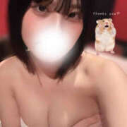 ヒメ日記 2025/11/24 21:41 投稿 ナナカ 姫路ラビット