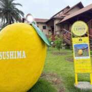 ヒメ日記 2025/06/30 22:45 投稿 水姫エリカ BLENDA V.I.P東京店