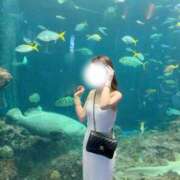 ヒメ日記 2025/08/25 21:26 投稿 水姫エリカ BLENDA V.I.P東京店