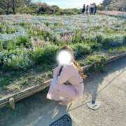 ヒメ日記 2026/04/08 21:02 投稿 水姫エリカ BLENDA V.I.P東京店