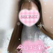 ヒメ日記 2024/12/13 20:09 投稿 みー サティアンまーと