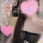 ヒメ日記 2024/12/16 03:09 投稿 みー サティアンまーと