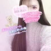 ヒメ日記 2024/12/16 08:59 投稿 みー サティアンまーと