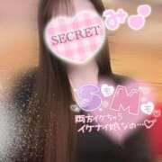 ヒメ日記 2025/01/05 10:49 投稿 みー サティアンまーと