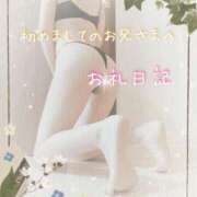 ヒメ日記 2025/03/31 21:59 投稿 みー サティアンまーと