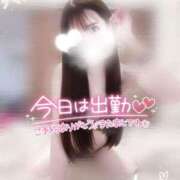 ヒメ日記 2025/06/01 10:39 投稿 みー サティアンまーと