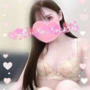 ヒメ日記 2025/06/18 08:10 投稿 みー サティアンまーと