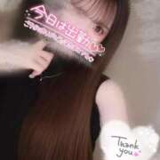 ヒメ日記 2025/07/27 10:59 投稿 みー サティアンまーと