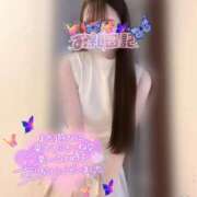 ヒメ日記 2026/04/29 15:19 投稿 みー サティアンまーと
