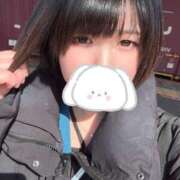 ヒメ日記 2025/02/22 12:49 投稿 あられ サティアンまーと