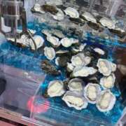 ヒメ日記 2025/01/20 09:16 投稿 ましろ 横浜Cute