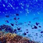 ヒメ日記 2025/07/03 08:27 投稿 ましろ 横浜Cute