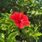 ヒメ日記 2025/11/19 09:14 投稿 ましろ 横浜Cute