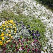 ヒメ日記 2026/03/10 08:57 投稿 ましろ 横浜Cute