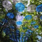 ヒメ日記 2025/05/09 19:27 投稿 なお 所沢デリヘル桜