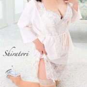 ヒメ日記 2025/03/07 22:06 投稿 白鳥心 セレブショップ新宿（東京ハレ系）