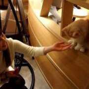 ヒメ日記 2024/12/27 23:27 投稿 はづき サティアンまーと