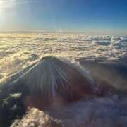 ヒメ日記 2025/01/06 12:29 投稿 はづき サティアンまーと