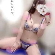 ヒメ日記 2025/02/15 10:19 投稿 みやび サティアンまーと