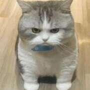 ヒメ日記 2025/05/24 06:19 投稿 みやび サティアンまーと