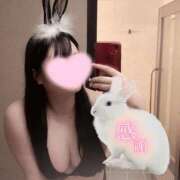 ヒメ日記 2026/04/13 04:29 投稿 みやび サティアンまーと