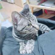 ヒメ日記 2024/12/14 13:09 投稿 みゅらー サティアンまーと