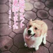 ヒメ日記 2025/02/16 15:47 投稿 みゅらー サティアンまーと