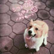 ヒメ日記 2025/03/07 16:39 投稿 みゅらー サティアンまーと