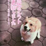 ヒメ日記 2025/03/22 13:45 投稿 みゅらー サティアンまーと